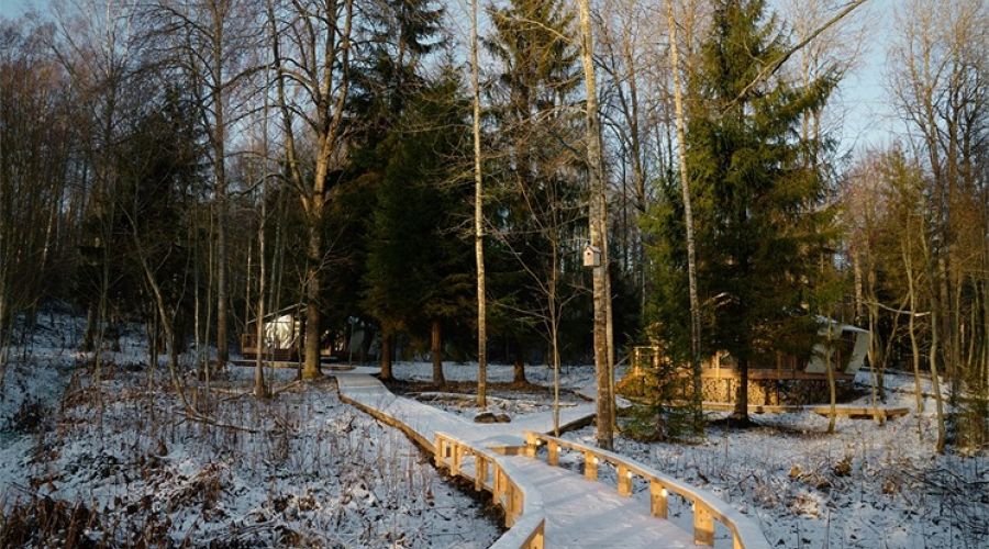 Лодж Лодж лесной 2-местный с террасой и огромными панорамными окнами